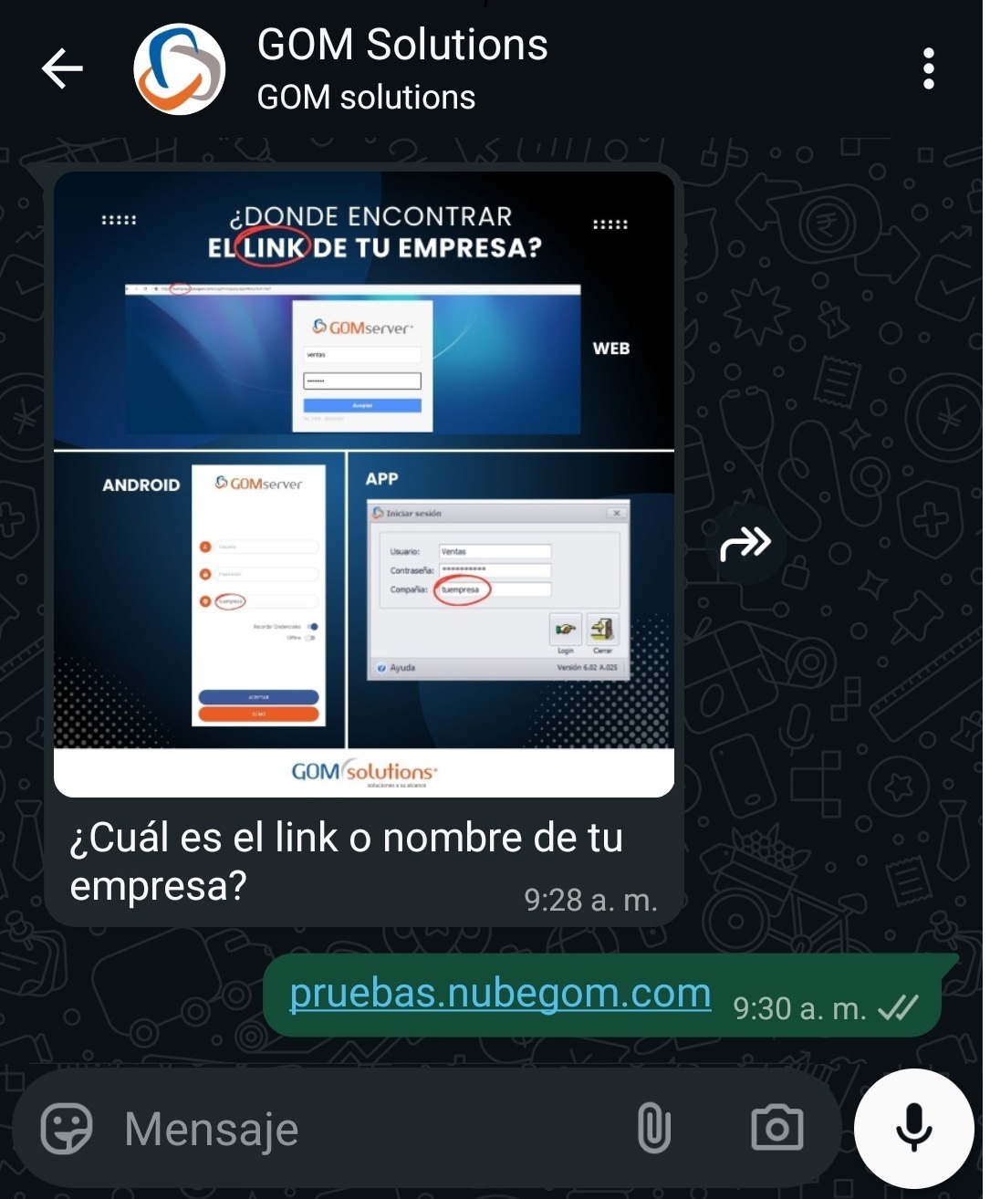 S F Soporte Whatsapp 4